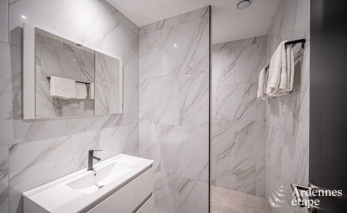 Villa de vacances exceptionnelle pour 14 personnes  Gedinne, Ardenne