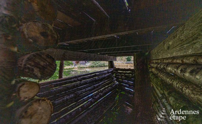 Villa de vacances exceptionnelle pour 14 personnes  Gedinne, Ardenne