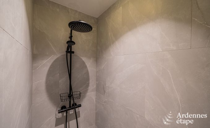 Villa de vacances exceptionnelle pour 14 personnes  Gedinne, Ardenne