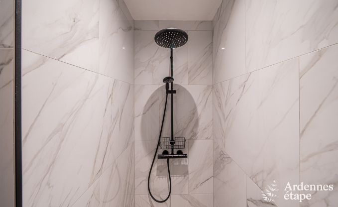 Villa de vacances exceptionnelle pour 14 personnes  Gedinne, Ardenne