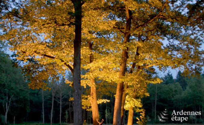 Villa de Luxe � Gedinne pour 18 personnes en Ardenne