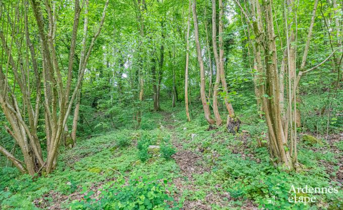 Manoir luxueux � Gesves, Ardenne belge