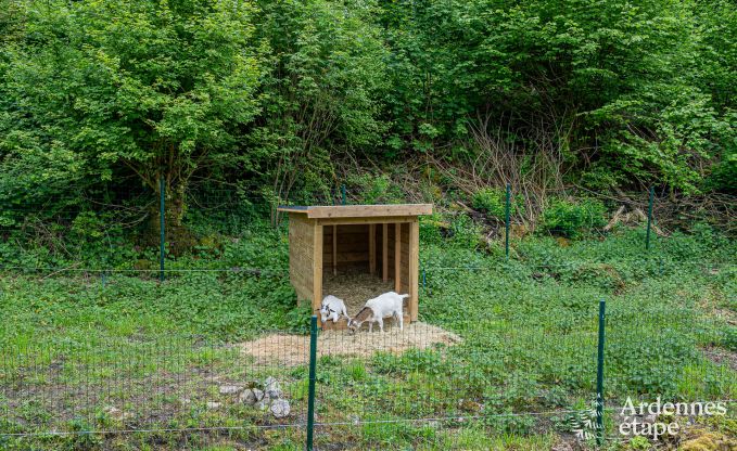 Manoir luxueux � Gesves, Ardenne belge