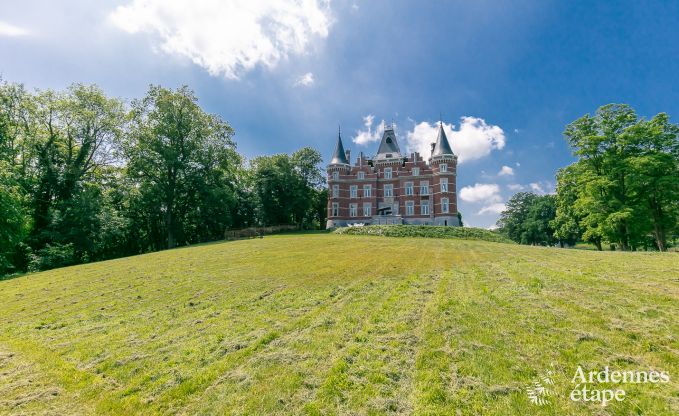 Superbe château à louer pour 40 personnes en Ardenne (Gesves)