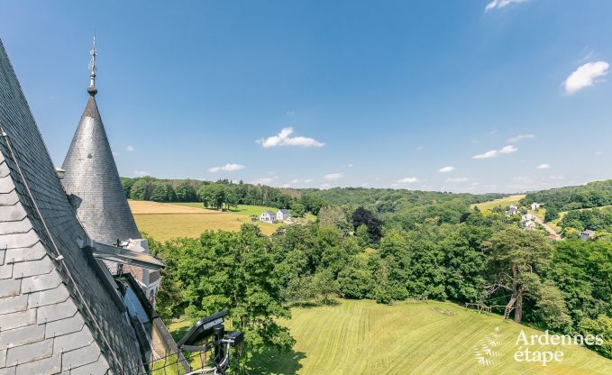 Ch�teau � Gesves pour 40 personnes en Ardenne