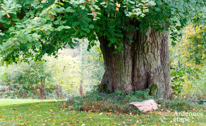 Maison de vacances  Gesves pour 8/9 personnes en Ardenne