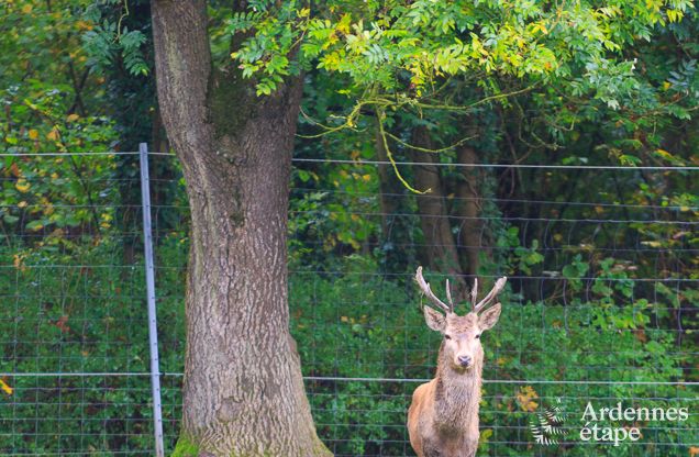 Maison de vacances  Gesves pour 8/9 personnes en Ardenne