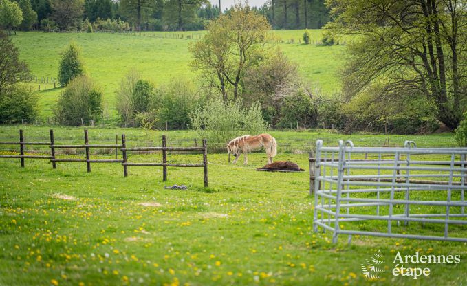 Maison de vacances � Gouvy pour 9 personnes en Ardenne