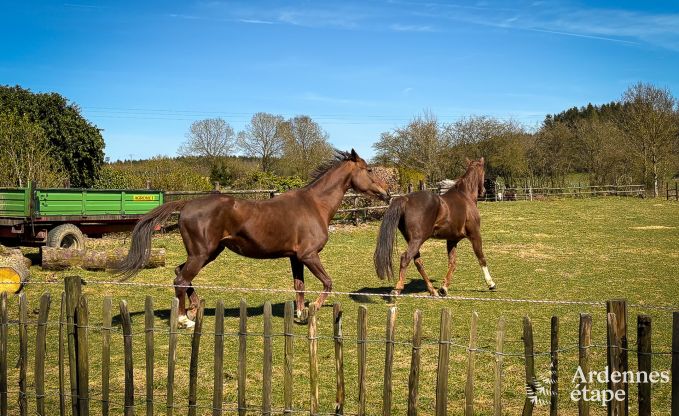 Maison de vacances  Gouvy pour 9 personnes en Ardenne