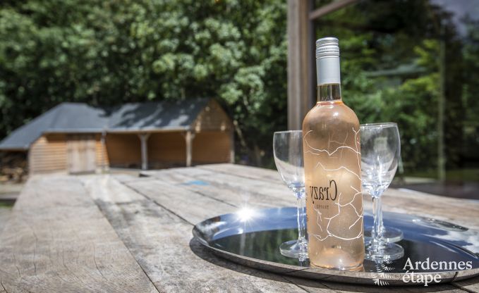 Villa de Luxe  Gouvy pour 15 personnes en Ardenne