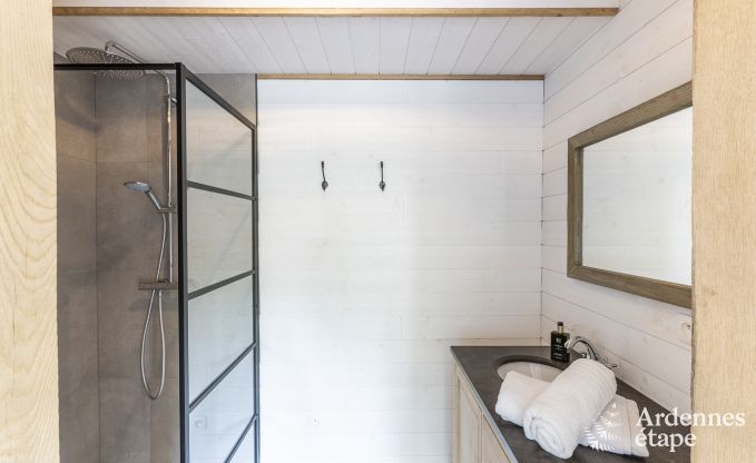 Villa de Luxe  Gouvy pour 15 personnes en Ardenne