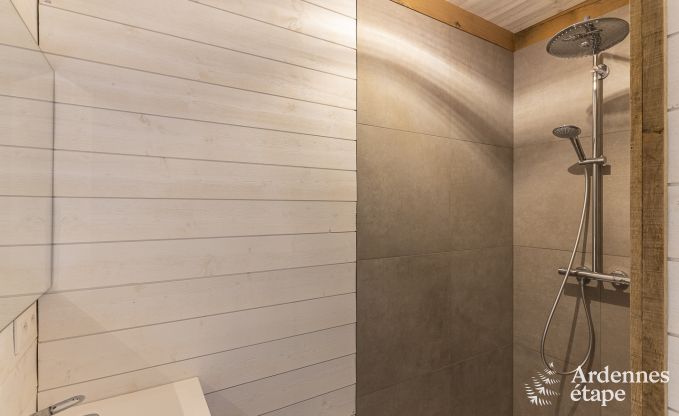 Villa de Luxe  Gouvy pour 15 personnes en Ardenne