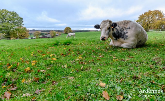 Maison de vacances  Grimbimont pour 6 personnes en Ardenne