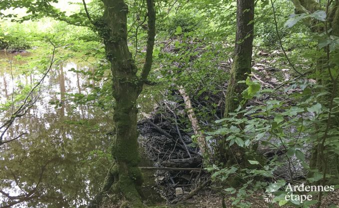 Maison de vacances � Habay pour 12 personnes en Ardenne