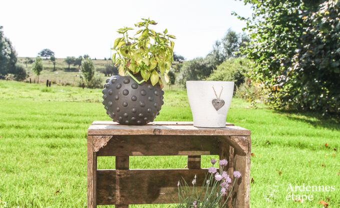 S�jour inoubliable en Ardenne : Charmante maison de vacances avec piscine � Habay, id�ale pour 9 personnes