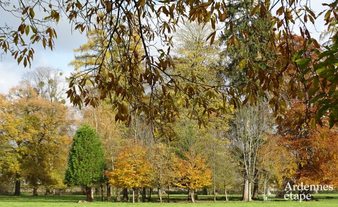 Ch�teau � Hamoir pour 8/9 personnes en Ardenne