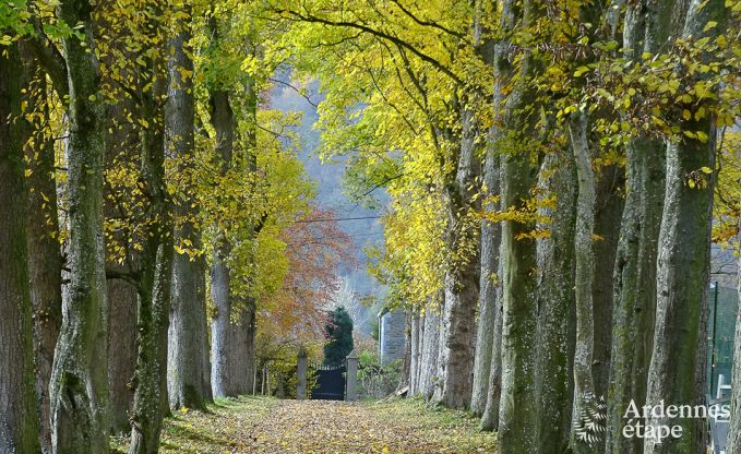 Ch�teau � Hamoir pour 8/9 personnes en Ardenne