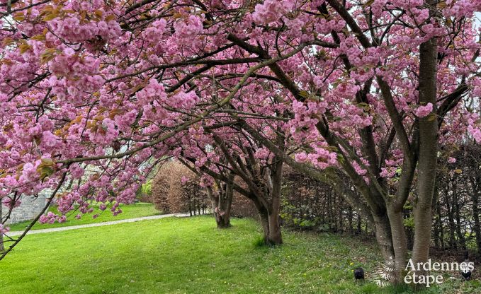 Maison de vacances  Hamois pour 8 personnes en Ardenne