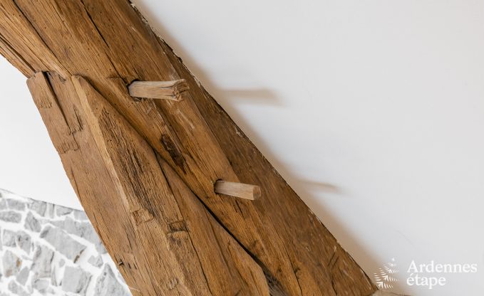 Gite de charme  Hamois pour 9 personnes en Ardenne