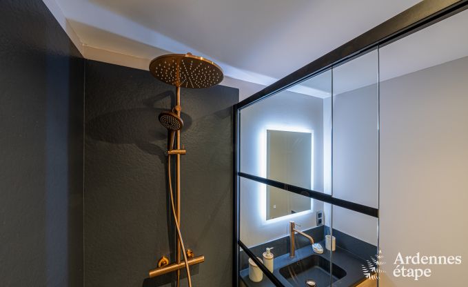 Charmante maison de vacances � Han-sur-Lesse; Ardenne