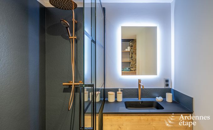 Charmante maison de vacances � Han-sur-Lesse; Ardenne