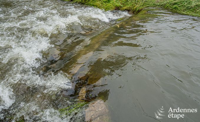 Charmante maison de vacances � Han-sur-Lesse; Ardenne