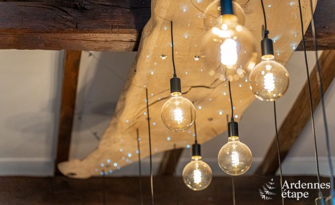 Charmante maison de vacances � Han-sur-Lesse; Ardenne