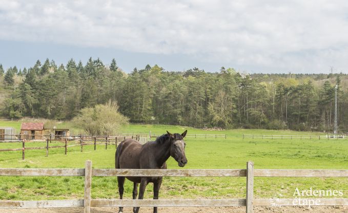 Loft � Han sur Lesse pour 7 personnes en Ardenne