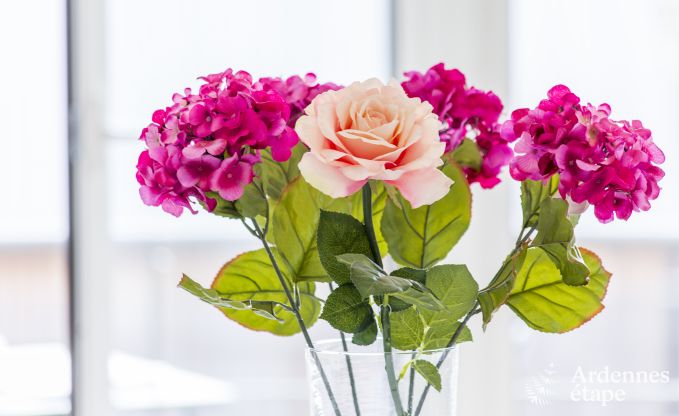 Loft � Han sur Lesse pour 7 personnes en Ardenne