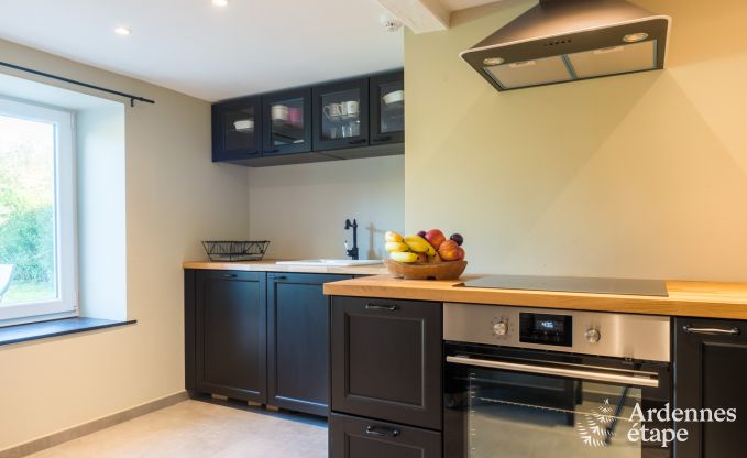 Maison de vacances  Han sur Lesse pour 10 personnes en Ardenne