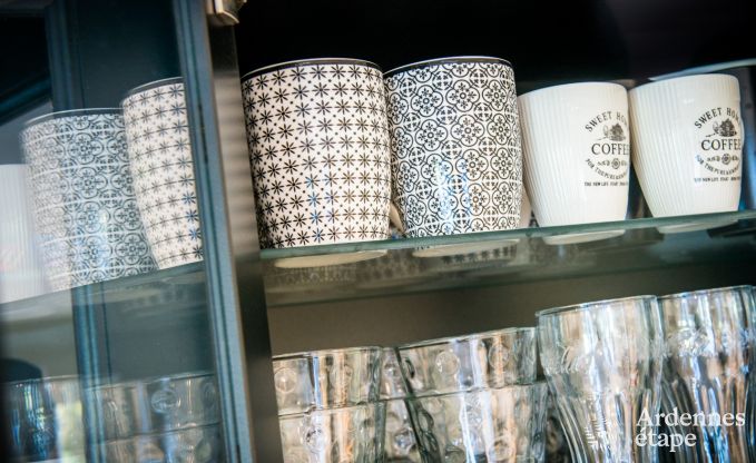 Maison de vacances  Han sur Lesse pour 10 personnes en Ardenne