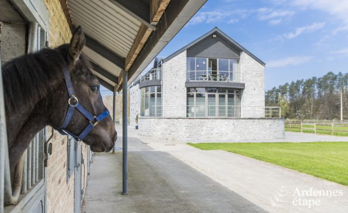 Grande maison de vacances en deux b�timents � Han-sur-Lesse pour 13 personnes avec piscine int�rieure