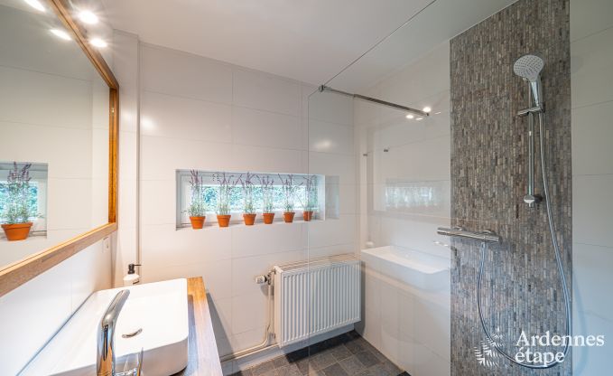 Maison de vacances conviviale � Han-sur-Lesse pour 8 personnes avec sauna et jardin � proximit� des Grottes de Han