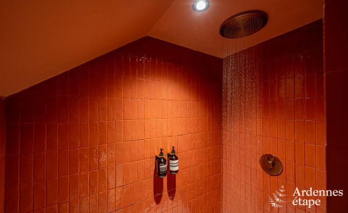 Maison de vacances conviviale � Han-sur-Lesse pour 8 personnes avec sauna et jardin � proximit� des Grottes de Han