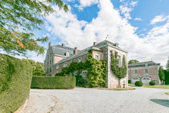 Château pour 8 personnes à Hannut en Ardenne