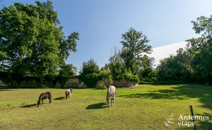 Maison de vacances � Hannut pour 21 personnes en Ardenne