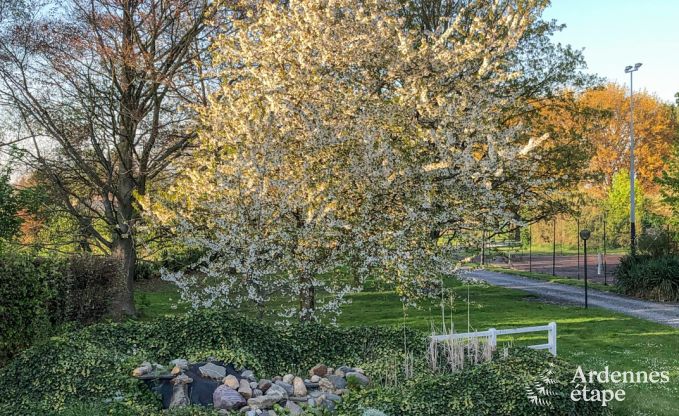 Maison de vacances � Hannut pour 20 personnes en Ardenne