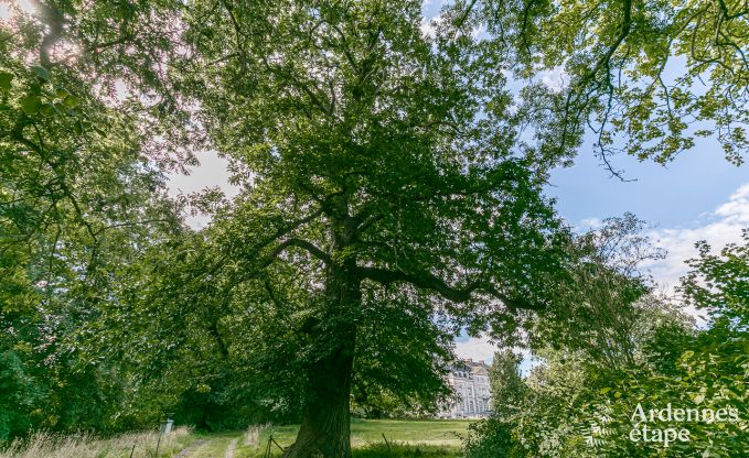 Chteau  Hannut pour 8 personnes en Ardenne