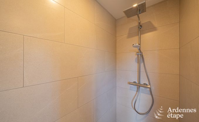 Vaste villa de luxe avec piscine � Hasti�re, Ardenne