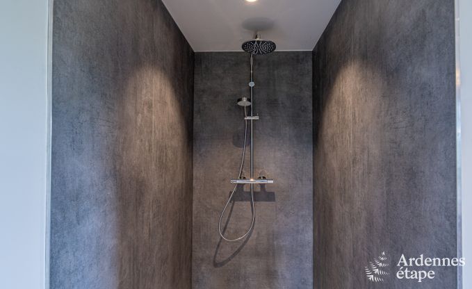 Magnifique maison de vacances pour 14 personnes  Havelange