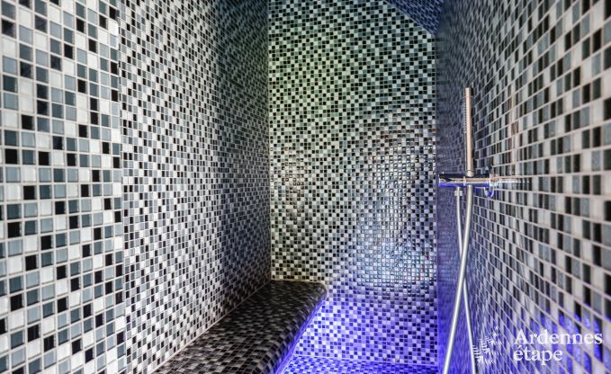 Villa de Luxe � Henri-Chapelle pour 23 personnes en Ardenne