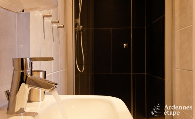 Villa de Luxe � Henri-Chapelle pour 23 personnes en Ardenne