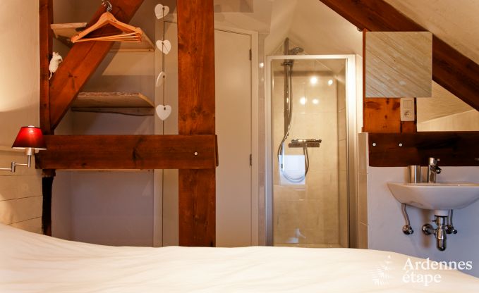 Villa de Luxe � Henri-Chapelle pour 23 personnes en Ardenne