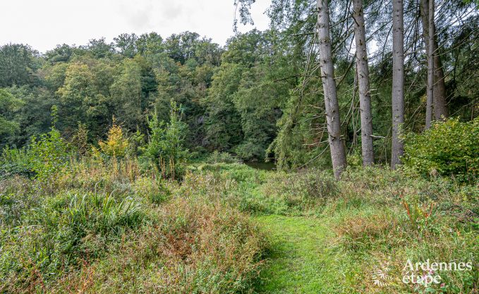Villa de Luxe � Herbeumont pour 44 personnes en Ardenne