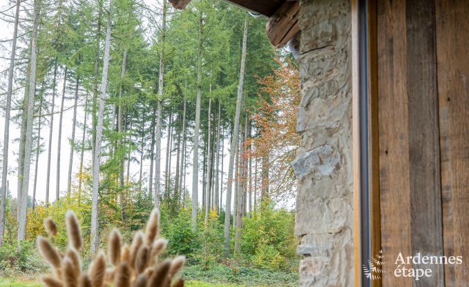 Villa de Luxe � Herbeumont pour 44 personnes en Ardenne