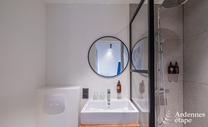 Villa de Luxe � Herbeumont pour 44 personnes en Ardenne