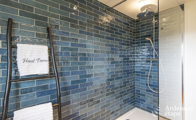 Villa de Luxe � Herbeumont pour 20 personnes en Ardenne