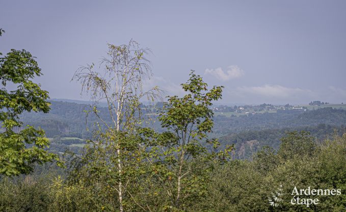 Villa de Luxe � Herbeumont pour 20 personnes en Ardenne