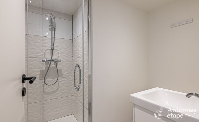 Villa de Luxe � Herbeumont pour 20 personnes en Ardenne