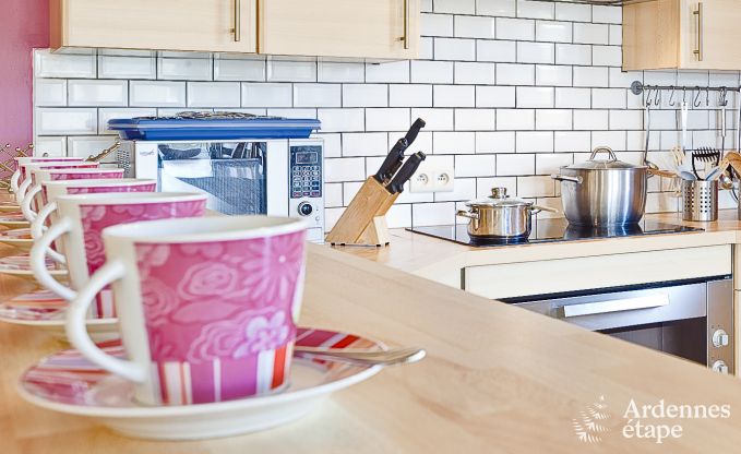 Maison de vacances  Herbeumont pour 22 personnes en Ardenne